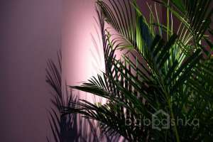 DSC01755 территория Съёмки Москва