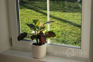 IMG_1338 дома Съёмки Москва