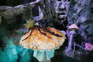 8P9A0083 натурные декорации Съёмки Москва