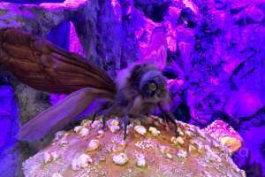 IMG_7785 натурные декорации Съёмки Москва