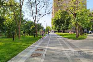 1000015736 кафе-пекарни-кондитерские Съёмки Москва