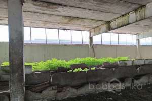 1000021817 мастерские Съёмки Москва