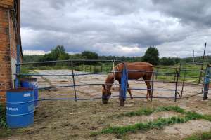 1000021850 мастерские Съёмки Москва