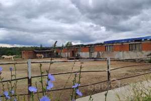 1000021842 мастерские Съёмки Москва