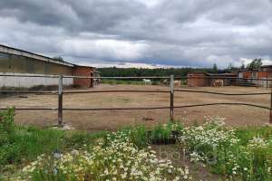 1000021841 мастерские Съёмки Москва