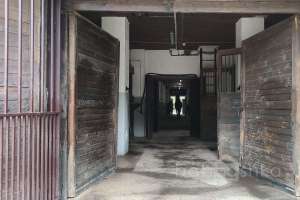 1000021031 конюшни Съёмки Москва