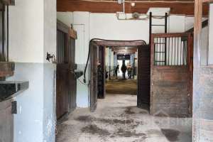 1000021032 конюшни Съёмки Москва