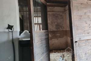 1000021034 конюшни Съёмки Москва