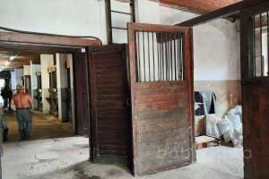 1000021035 конюшни Съёмки Москва