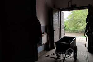 1000021038 конюшни Съёмки Москва