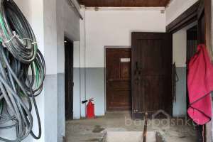 1000021039 конюшни Съёмки Москва