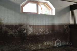 1000021051 конюшни Съёмки Москва