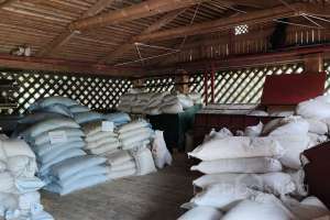 1000021062 конюшни Съёмки Москва