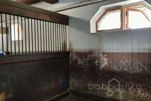 1000021052 конюшни Съёмки Москва