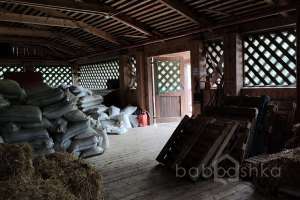 1000021064 конюшни Съёмки Москва