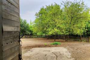 1000021040 конюшни Съёмки Москва