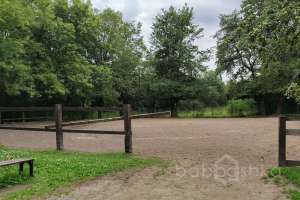 1000021025 конюшни Съёмки Москва