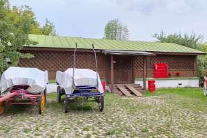 1000021057 конюшни Съёмки Москва