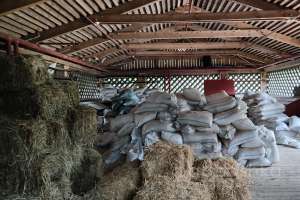 1000021063 конюшни Съёмки Москва