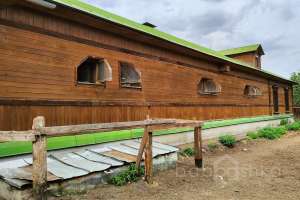 1000021044 конюшни Съёмки Москва