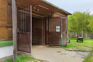 1000021030 конюшни Съёмки Москва