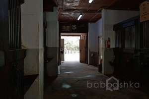 1000021053 конюшни Съёмки Москва