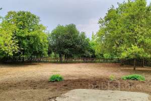 1000021042 конюшни Съёмки Москва