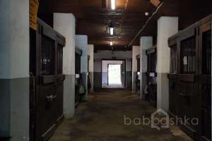 1000021054 конюшни Съёмки Москва