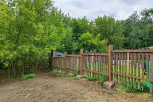 1000021047 конюшни Съёмки Москва