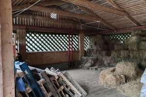 1000021060 конюшни Съёмки Москва