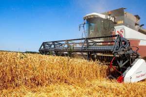 IMG_20240325_120055_195 краснодар Съёмки Москва