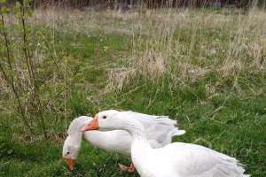 photo_13_2024-04-05_10-54-07 дома Съёмки Москва