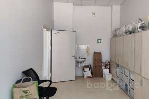 1000024241 школы Съёмки Москва