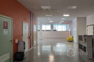 1000024249 школы Съёмки Москва