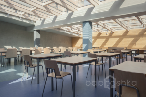 1000024153 школы Съёмки Москва