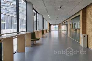 1000024492 школы Съёмки Москва