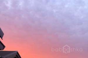 XXXL%20(15) конюшни Съёмки Москва