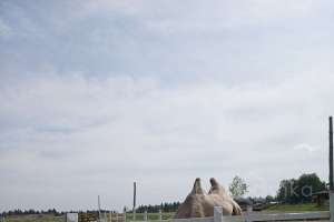 XXXL%20(11) конюшни Съёмки Москва