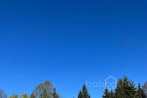 XXXL%20(21) конюшни Съёмки Москва