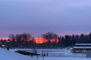 1000018921 конюшни Съёмки Москва