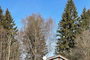 XXXL%20(14) конюшни Съёмки Москва