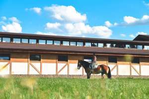 1000018923 конюшни Съёмки Москва