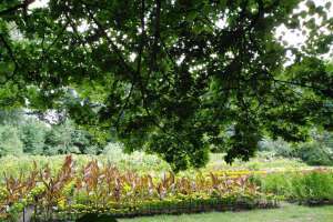 XXXL%20(25) конюшни Съёмки Москва