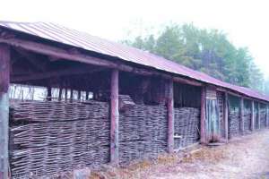 1000018915 конюшни Съёмки Москва