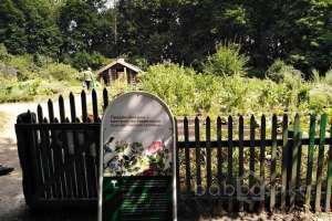 XXXL%20(23) конюшни Съёмки Москва