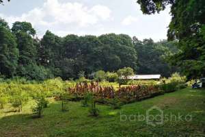 XXXL%20(26) конюшни Съёмки Москва