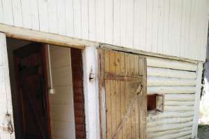 XXXL%20(17) конюшни Съёмки Москва