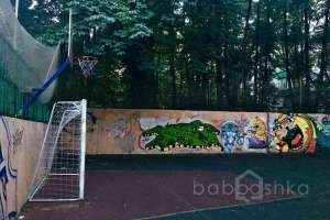 IMG_1694 поля футбольные Съёмки Москва