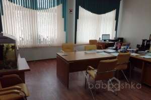 IMG_5158 школы Съёмки Москва