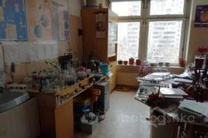 IMG_5231 школы Съёмки Москва